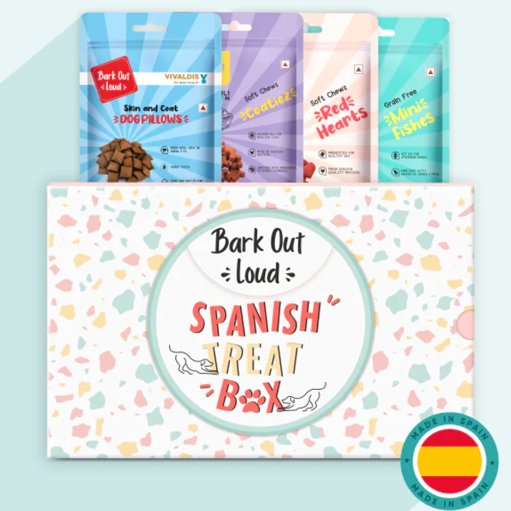 Bark Out Loud by Vivaldis Prefect Gifting Spanish Treat Box for Dogs (Limited Shelf Life)