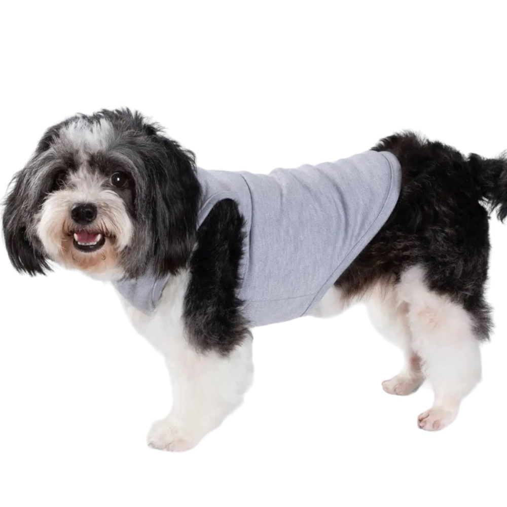 Talking Dog Club Tanky&