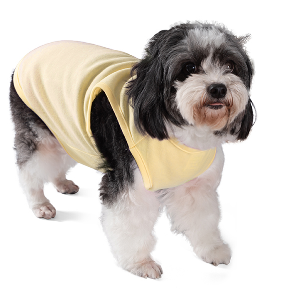 Talking Dog Club Tanky&