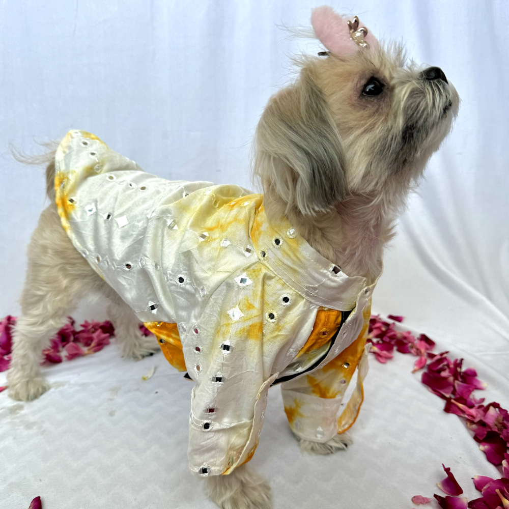Furvanity Chanderi Mirror Kurta for Dogs and Cats (Yellow)