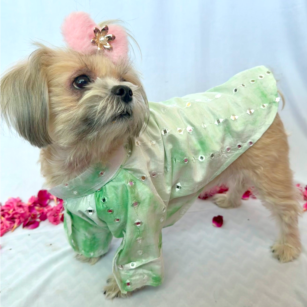 Furvanity Chanderi Mirror Kurta for Dogs and Cats (Green)