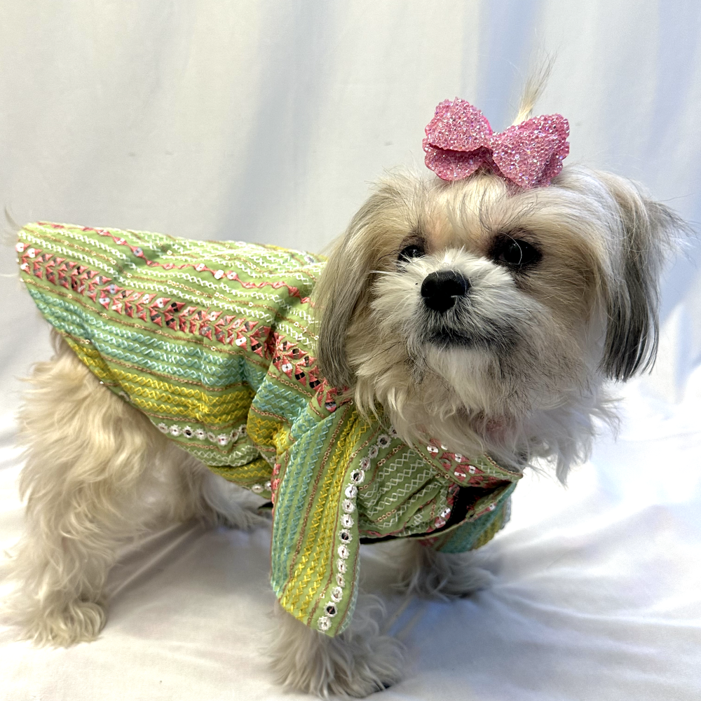 Furvanity Multi Colour Thread Work Sherwani for Dogs and Cats (Green)