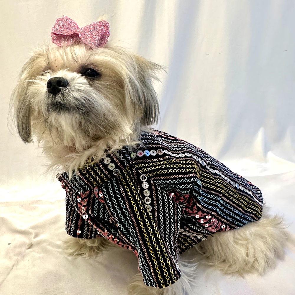 Furvanity Multi Colour Thread Work Sherwani for Dogs and Cats (Black)