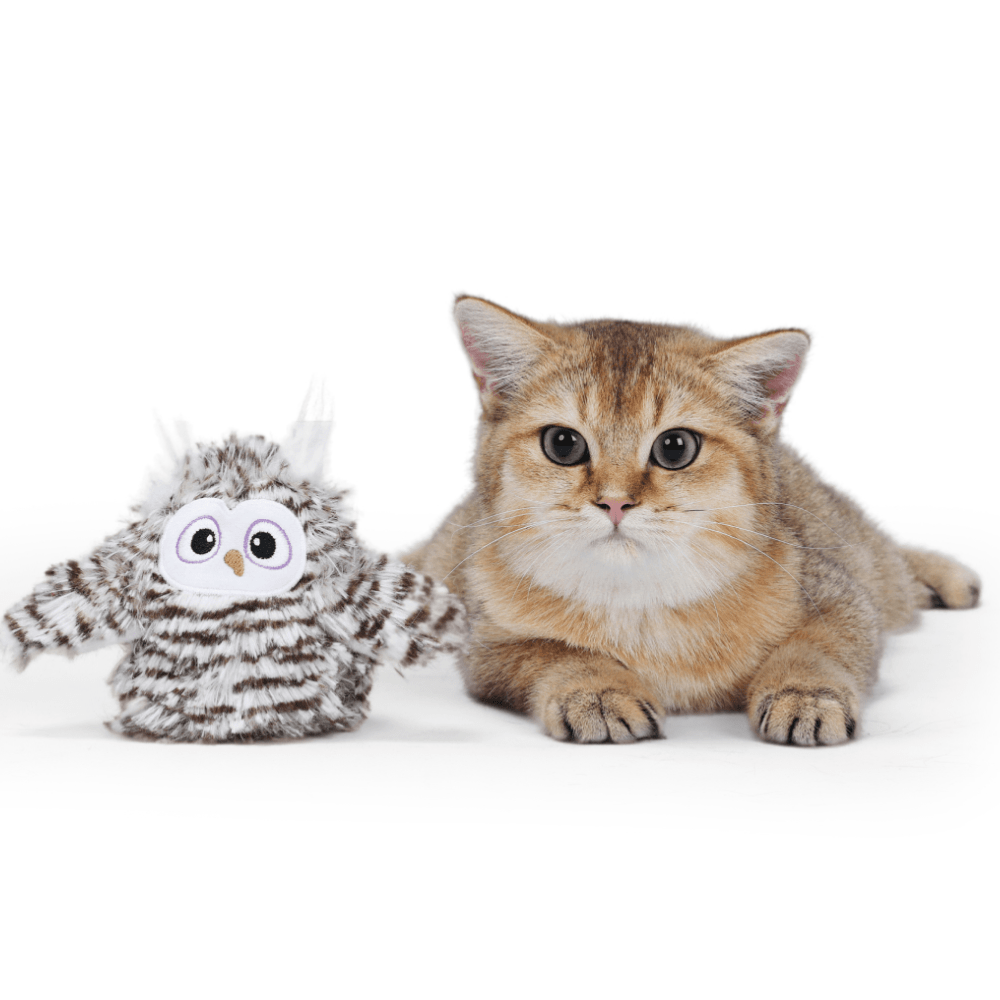 Fofos Flapping Owl Chirping Interactive Toy for Cats (Brown)