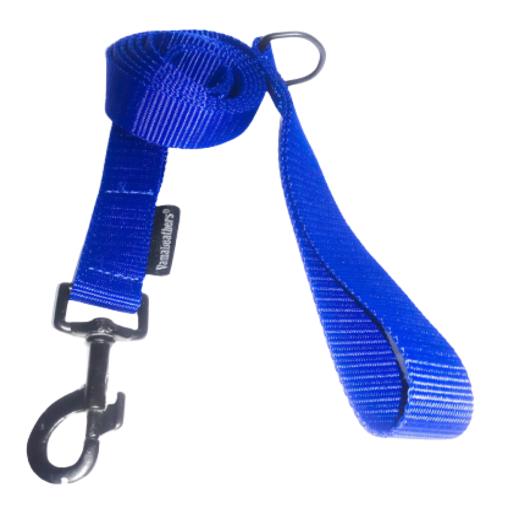 Vama Leathers Super Strong & Durable Nylon Leash for Dogs (Cool Blue)