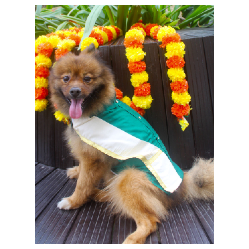 Vastramay Cotton Blend Shirt With Angavastram for Dogs (Green)
