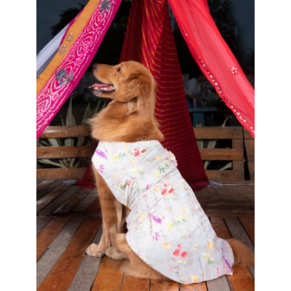 Vastramay Cream Floral Printed Cotton Blend Dress for Dogs (Multi colour)
