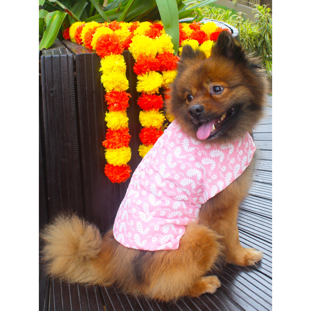 Vastramay Pure Cotton Chikankari Kurta for Dogs (Pink)
