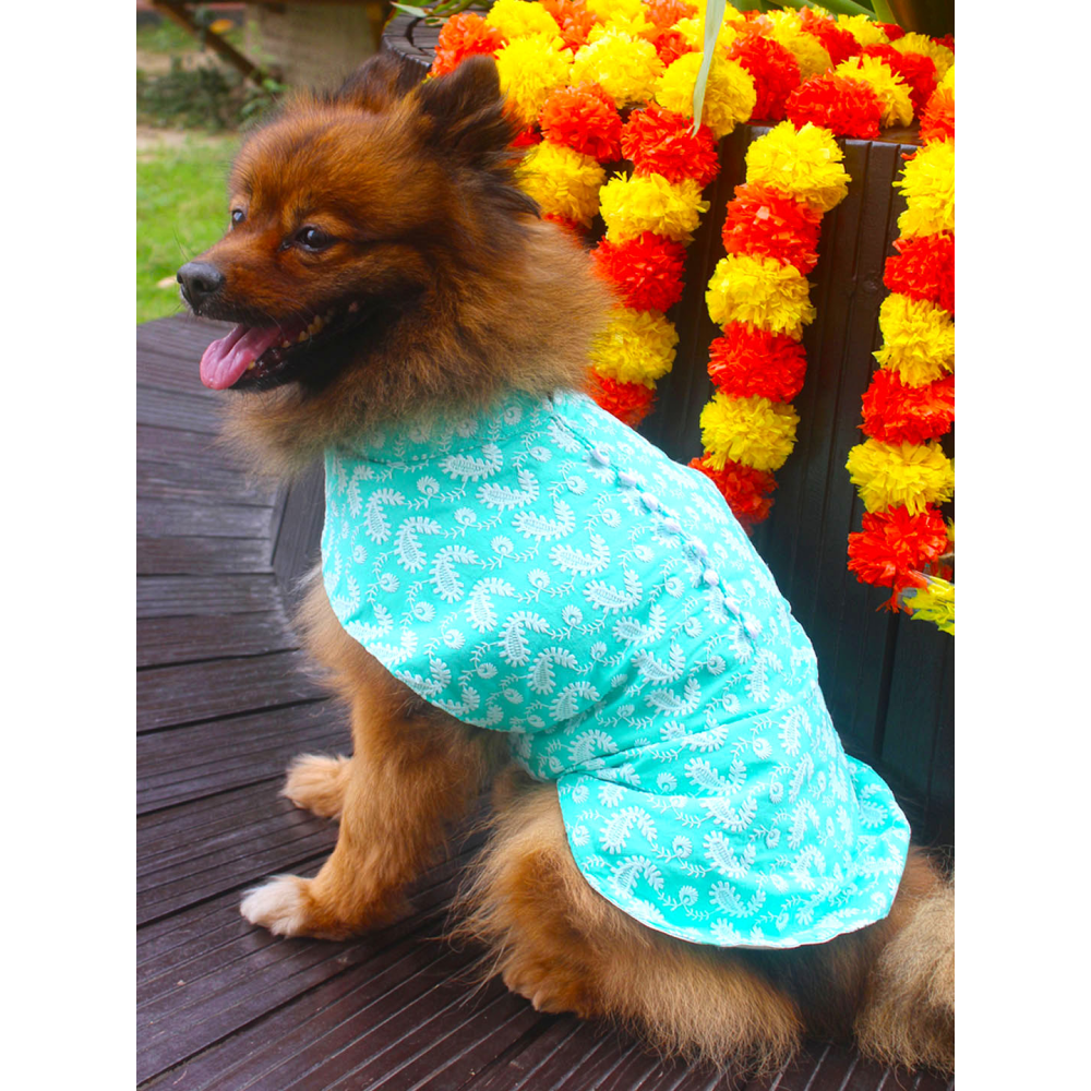 Vastramay Pure Cotton Chikankari Kurta for Dogs (Green)