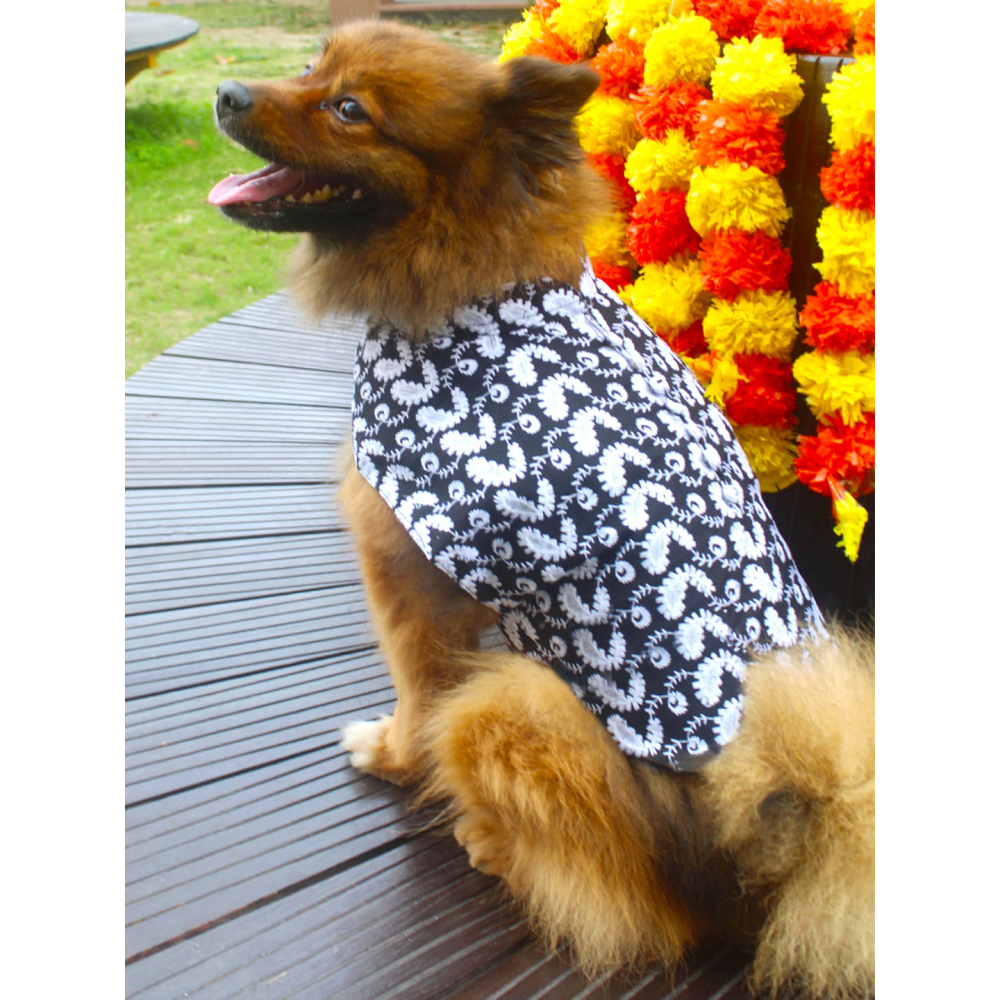 Vastramay Pure Cotton Chikankari Kurta for Dogs (Black)