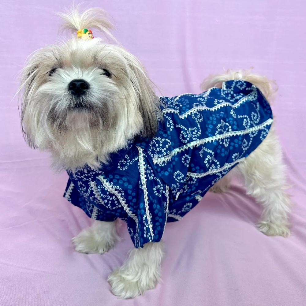 Furvanity Bandhani Gota Kurta for Dogs and Cats (Blue)