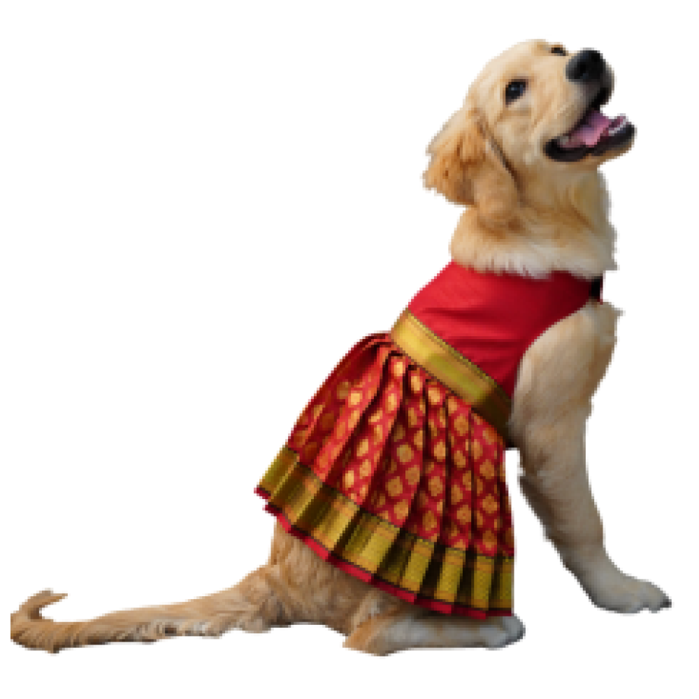 Floof & Co Silk Lehenga for Dogs (Red)