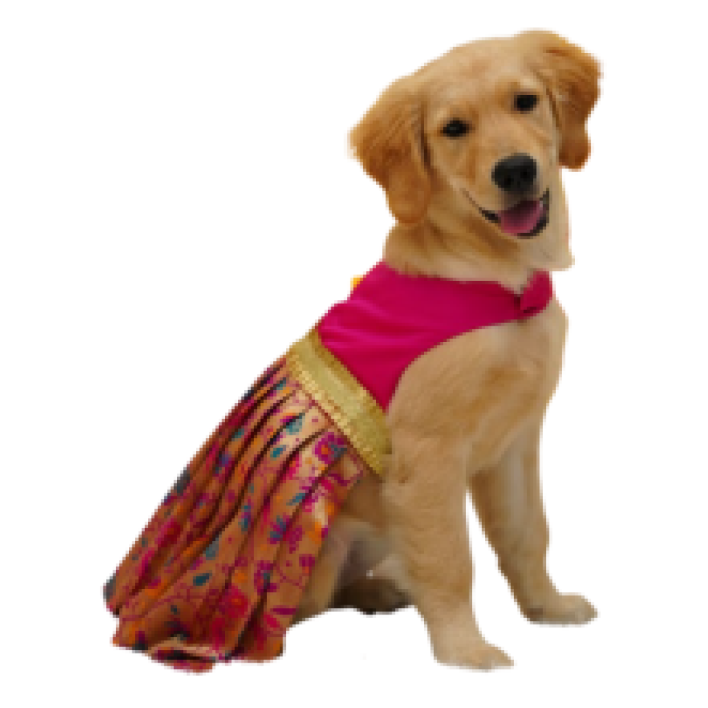 Floof & Co Silk Lehenga for Dogs (Pink)