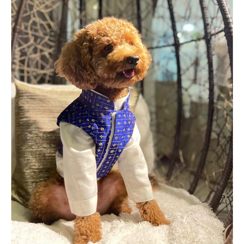 The Papaw Cartel Koti with Kurta for Dogs (Blue and White)