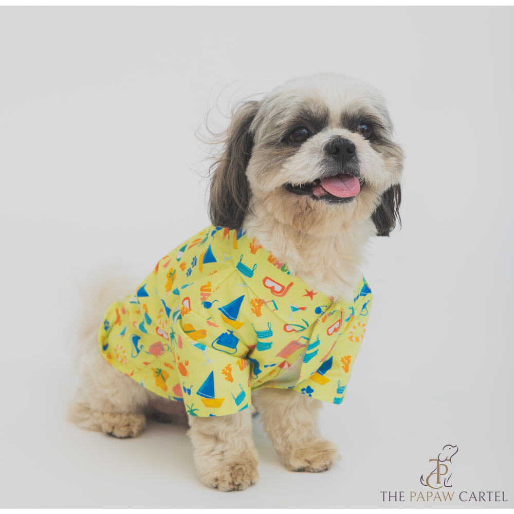 The Papaw Cartel Vacation Dress for Dogs (Lime Green)