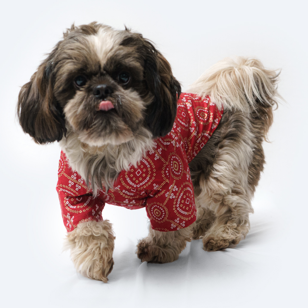 Pawgypets Bandhej Shirt for Dogs and Cats (Red)