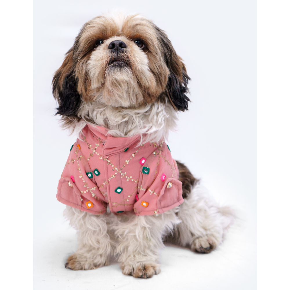 Pawgypets Festive Shirt for Dogs and Cats (Pink)