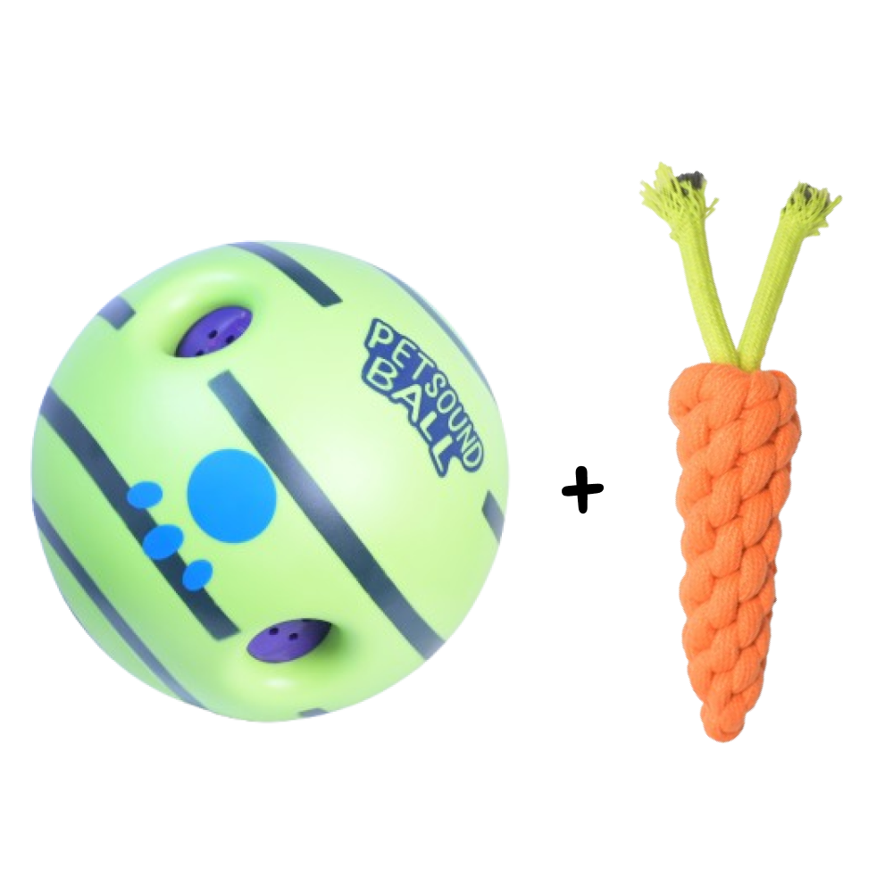 Skatrs Play & Bond Toy Combo for Dogs and Cats