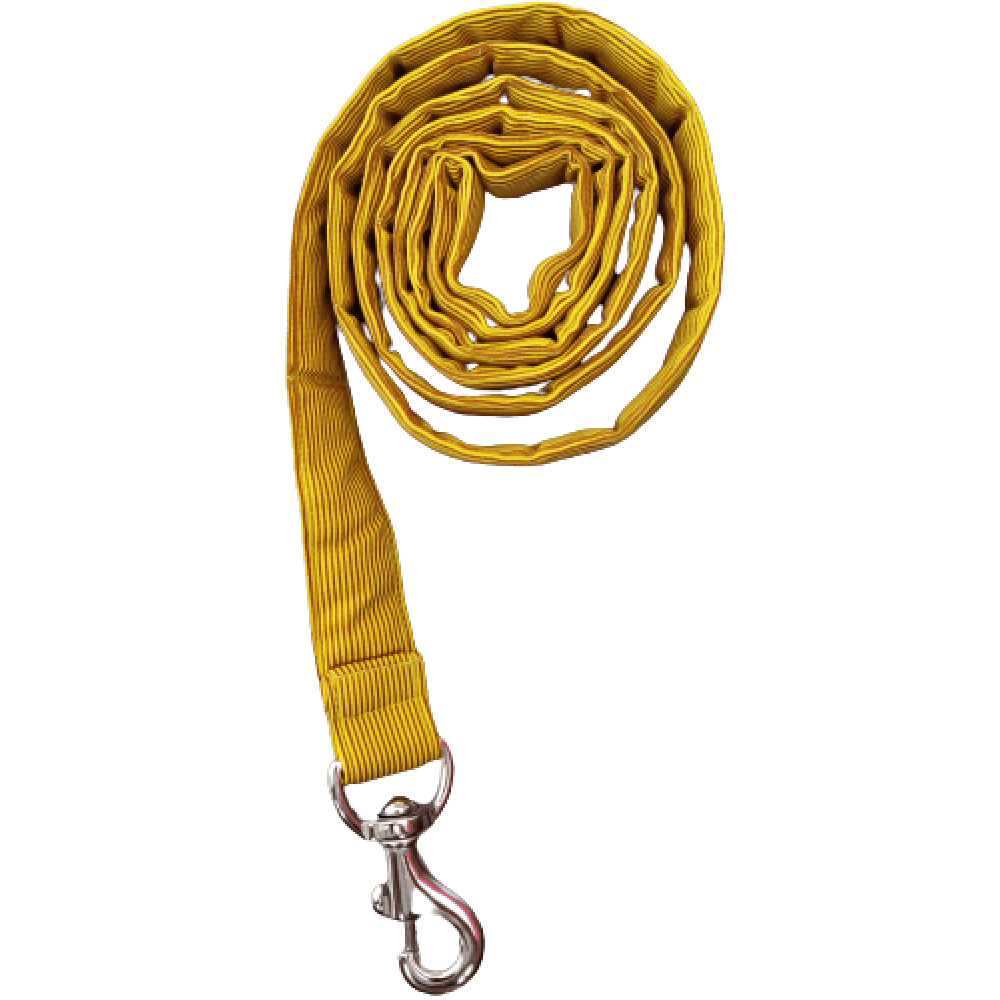 FurBuddies Leash for Dogs (Dandelion Yellow)