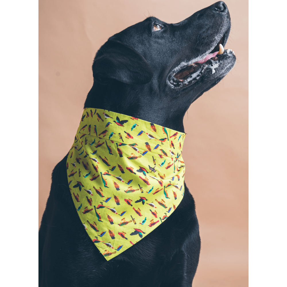 FurBuddies Birdie Baby Bandana for Dogs