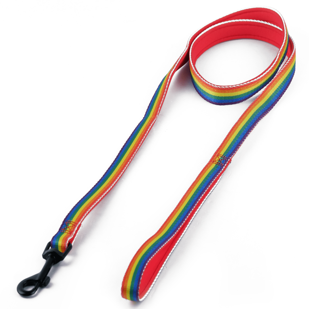 Basil Printed Leash for Dogs and Cats (Rainbow)