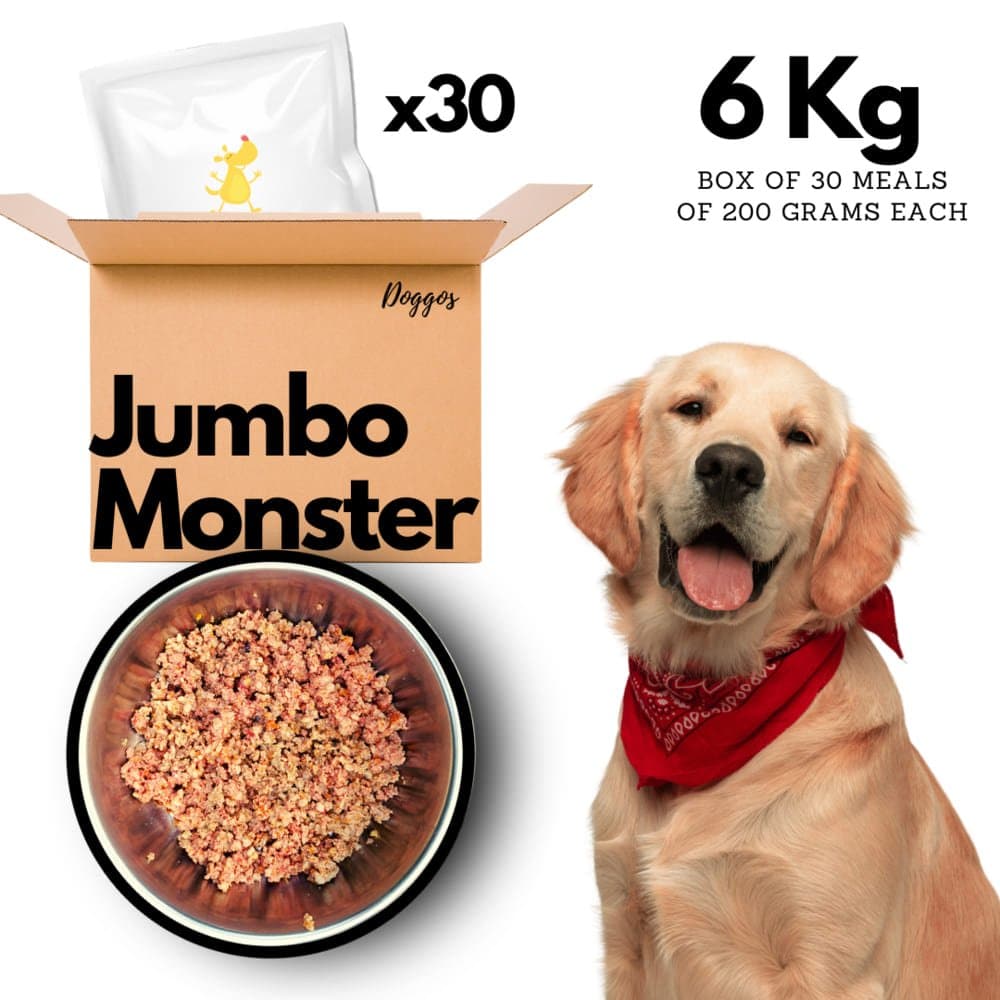 Doggos Jumbo Monster Chicken and Pumpkin Fresh Dog Wet Food (All Breeds)  (Limited Shelf Life)