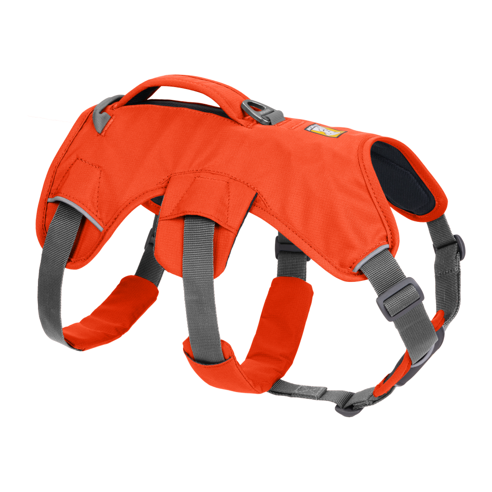 Ruffwear Webmaster Harness for Dogs (Blaze Orange)