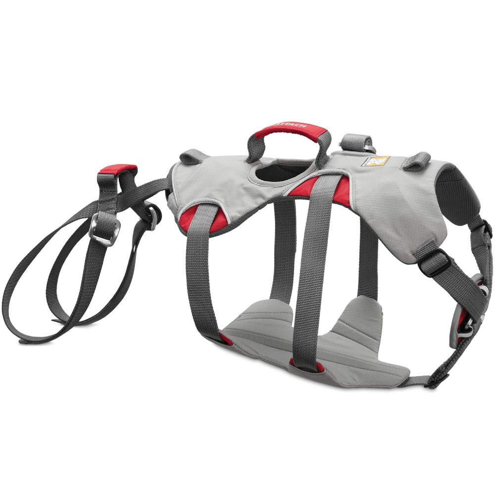 Ruffwear Doubleback Harness for dogs (Cloudburst Gray)
