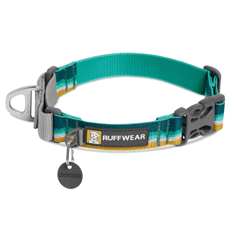 Ruffwear Martingale Web Reaction Collar with Buckle for Dogs (Seafoam)