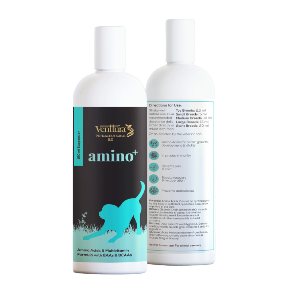 Venttura Amino Plus Syrup for Dogs (Limited Shelf Life)