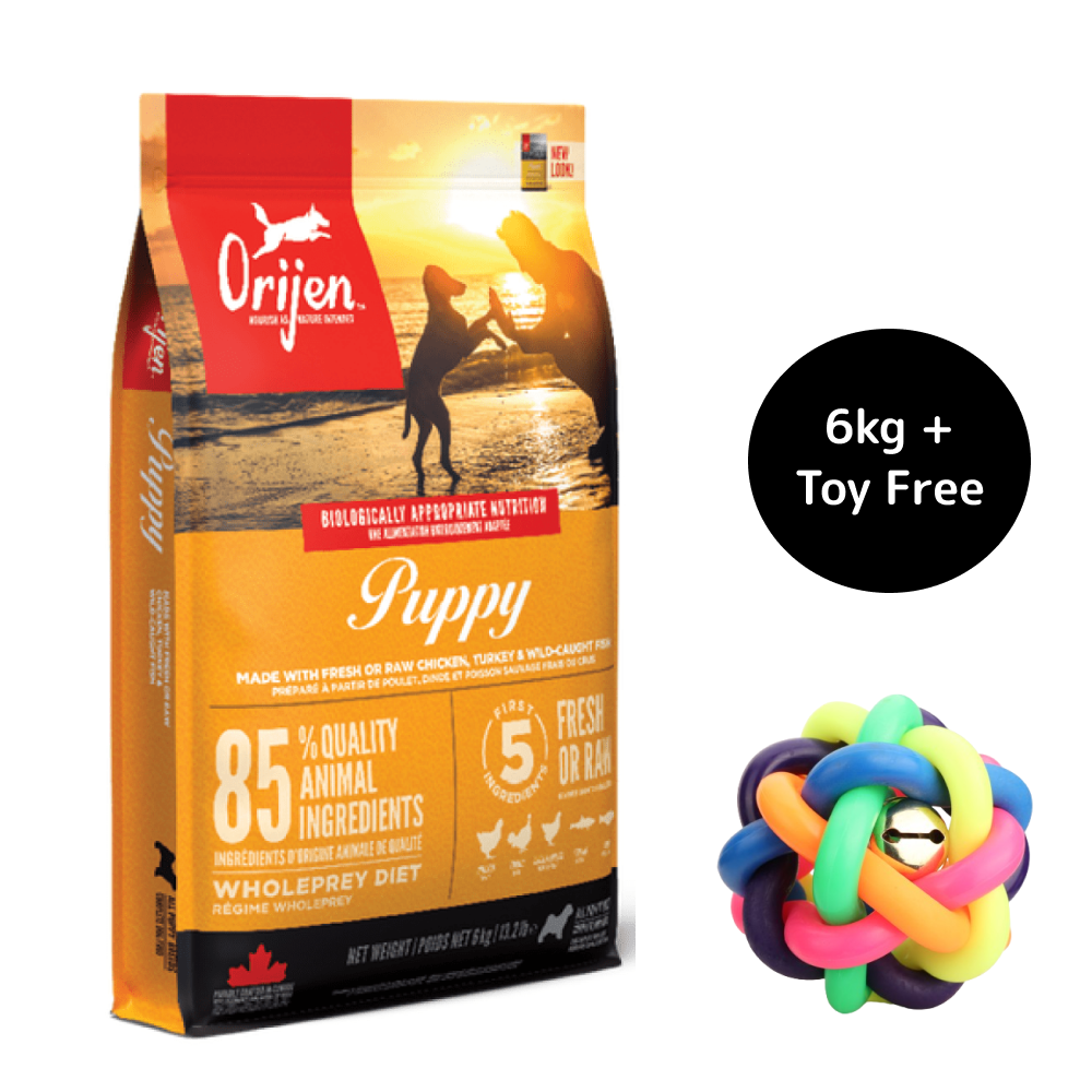 Orijen Puppy Dry Food (Get Free Skatrs Toy)