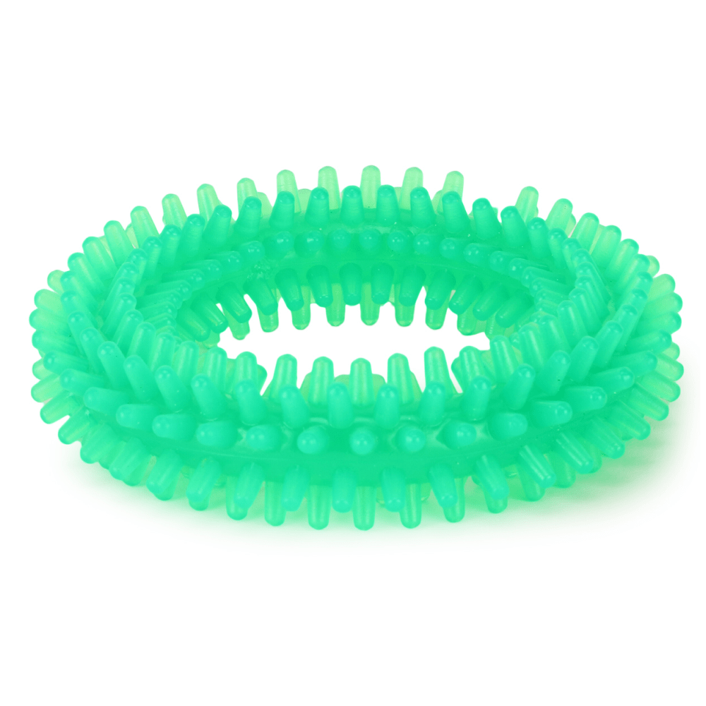 Basil Teething Ring Chew Toy for Dogs | For Medium Chewers (Green)(10cm)