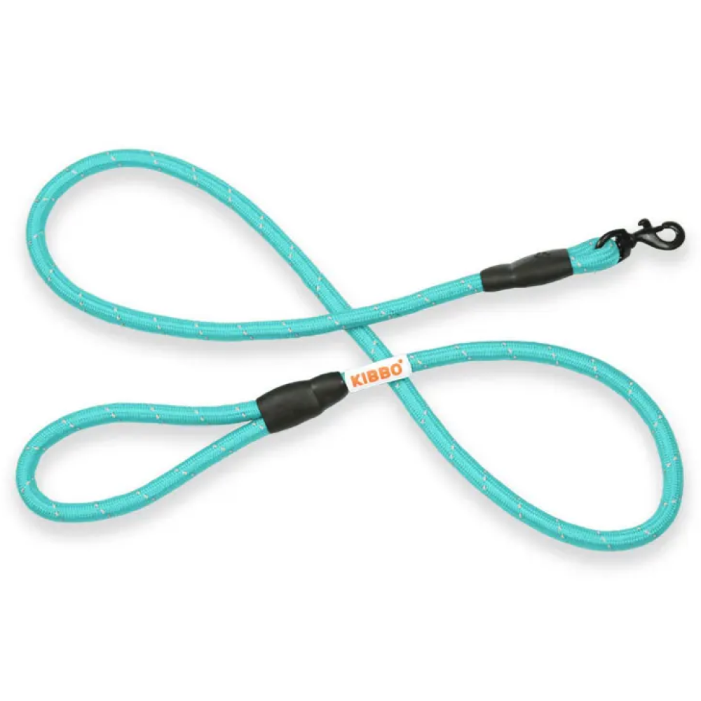 Kibbo Premium Nylon Reflective Leash for Dogs (Sea Green)