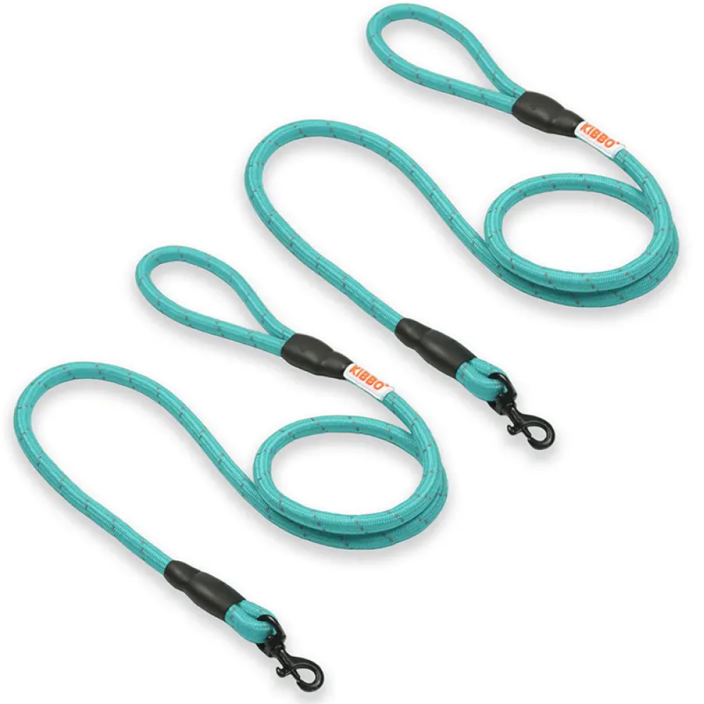 Kibbo Premium Nylon Reflective Leash for Dogs (Sea Green)