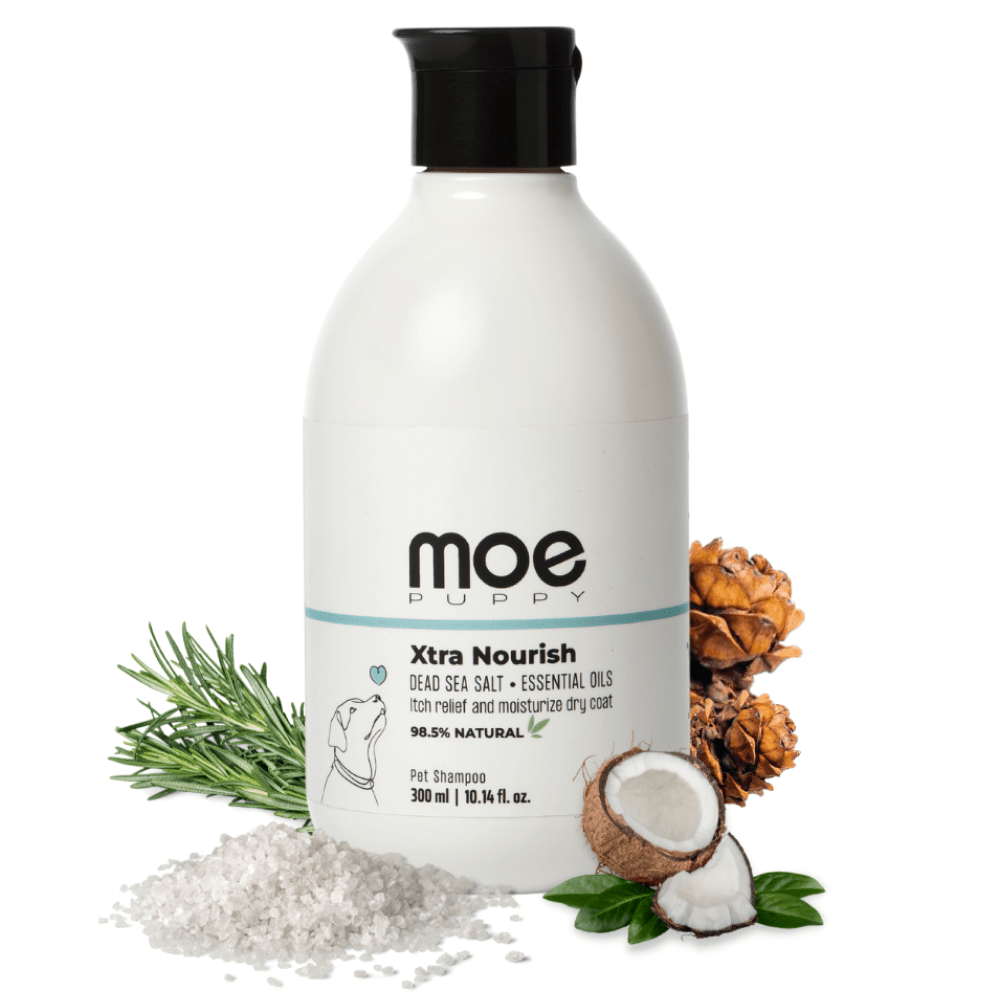 Moe Xtra Nourish for Relieving Itch and Moisturizing Dry Coat Shampoo