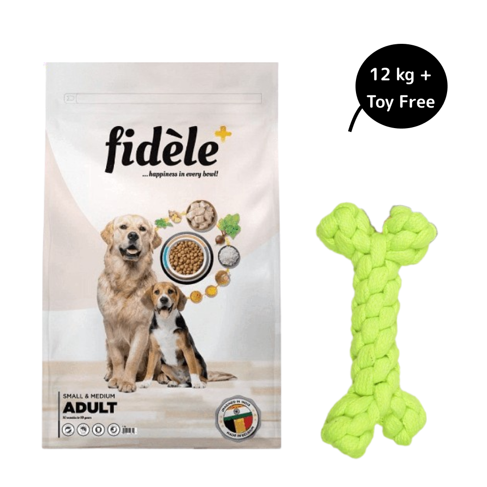 Fidele Plus Adult Small & Medium Dog Dry Food (Get Free Skatrs Toy)