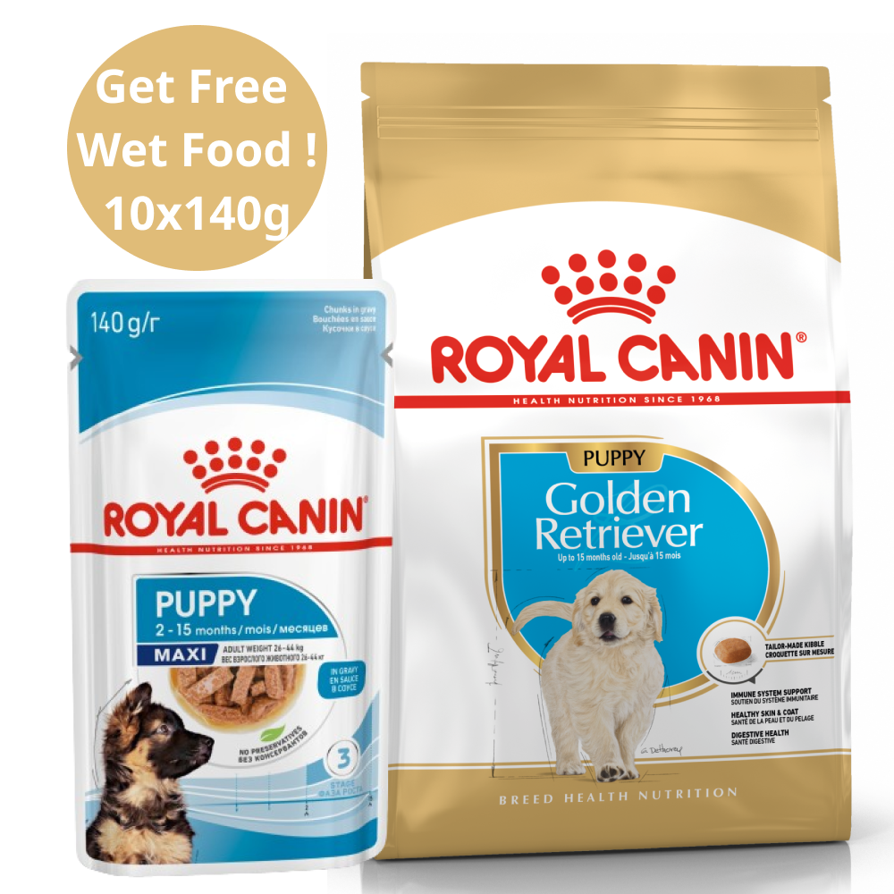 Royal Canin Golden Retriever Puppy Dog Dry Food (Get Free Wet Food)