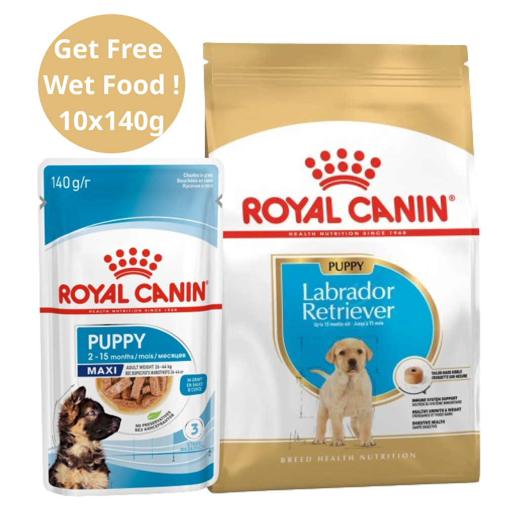 Royal Canin Labrador Retriever Puppy Dog Dry Food (Get Free Wet Food)