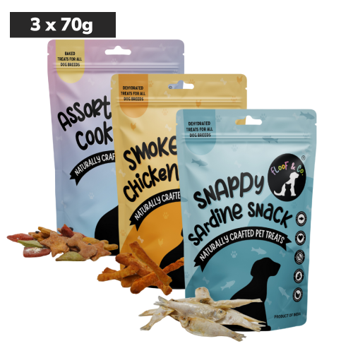 Floof & Co Assorted Cookies, Snappy Sardine and Smoked Chicken JerkyDog Treats Combo