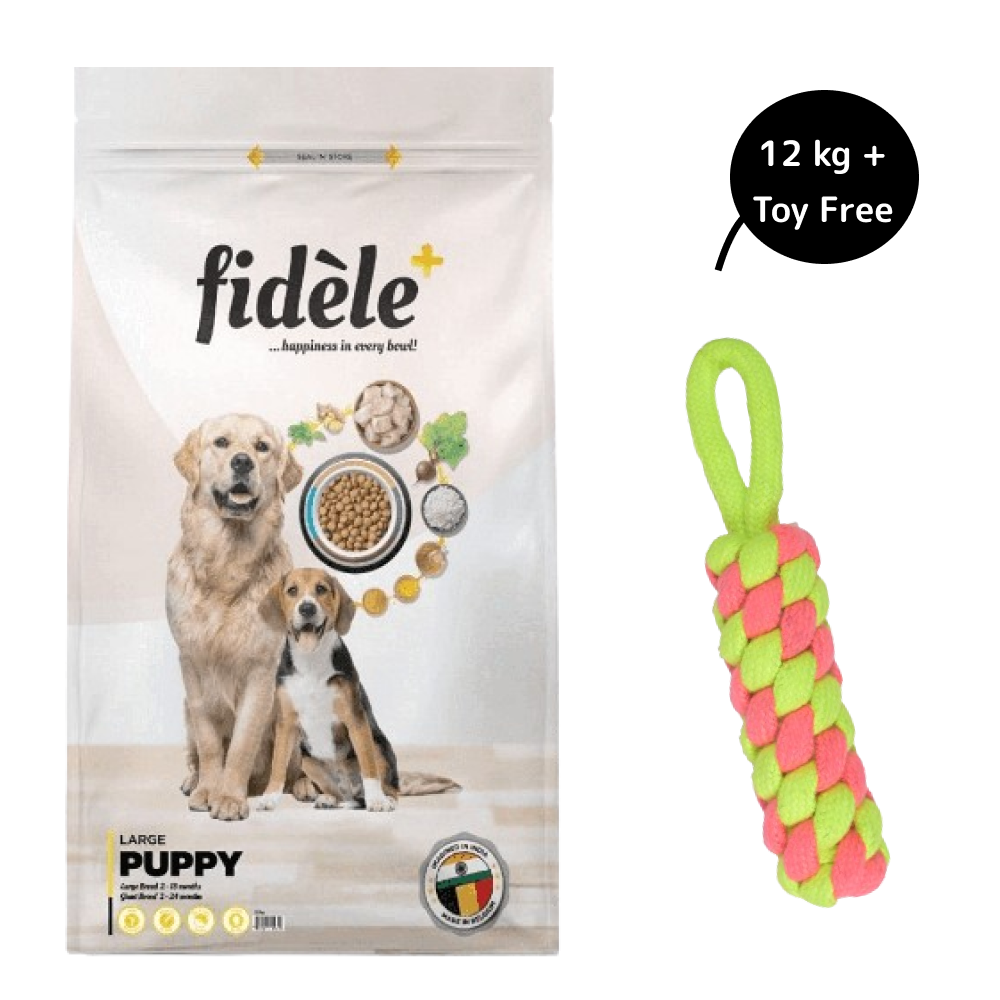 Fidele Plus Large Puppy Dry Food (Get Free Skatrs Toy)