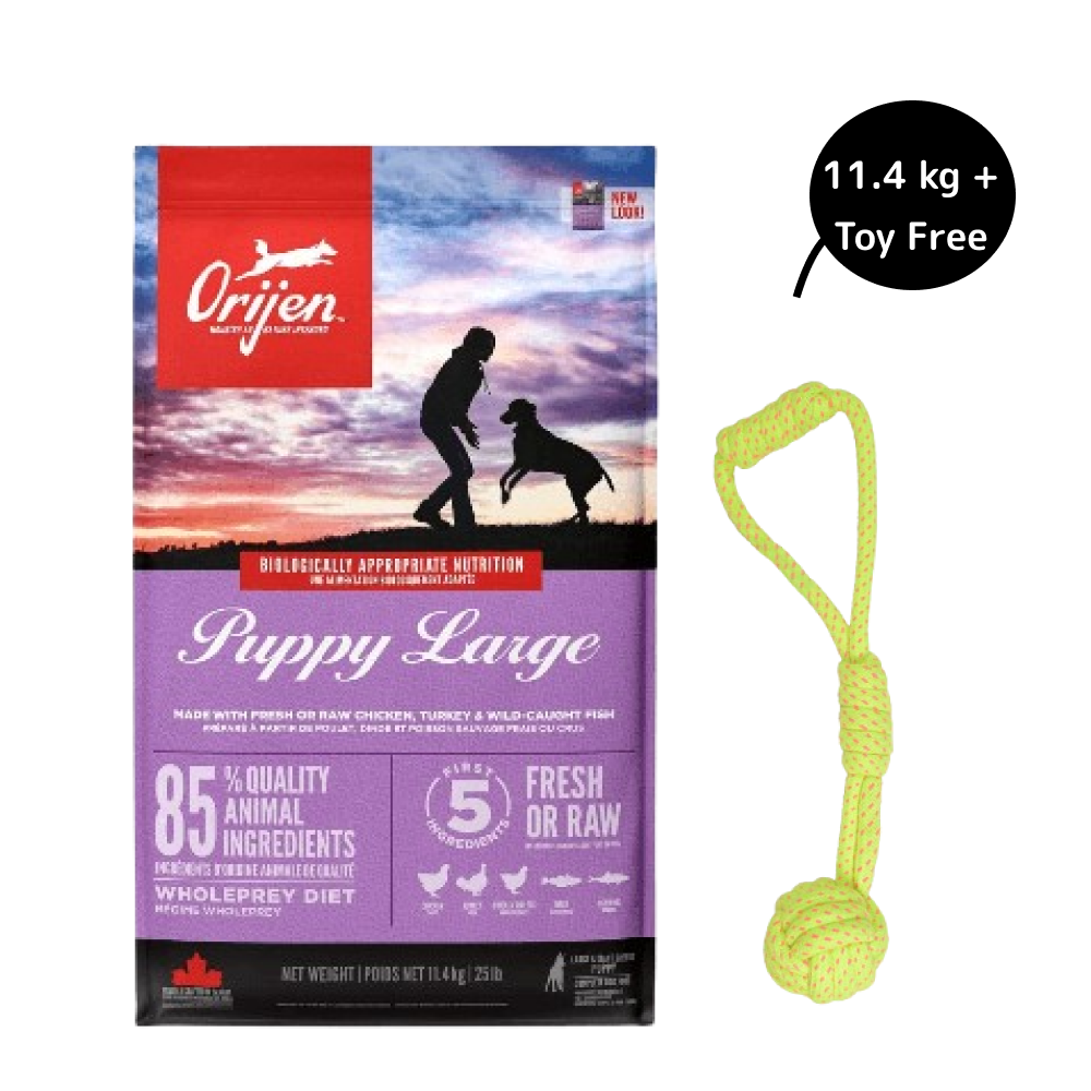 Orijen Large Puppy Dry Food (Get Free Skatrs Toy)