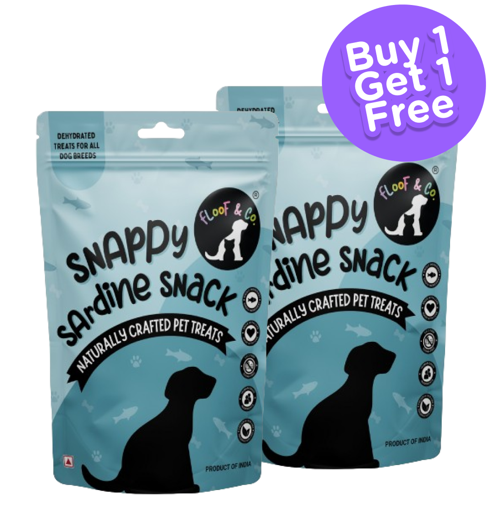 Floof & Co Snappy Sardine Snacks Dog Treats (Buy 1 Get 1)