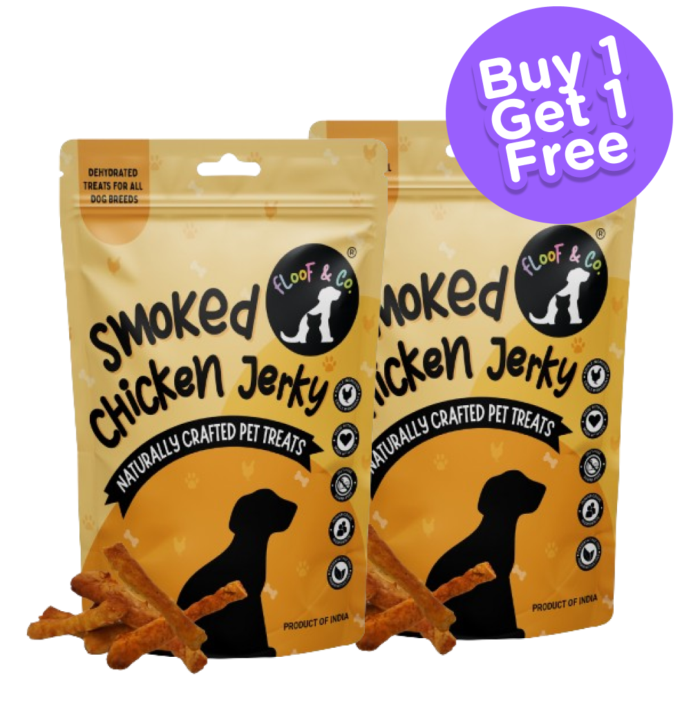Floof & Co Smoked Chicken Jerky Dog Treats (Buy 1 Get 1)