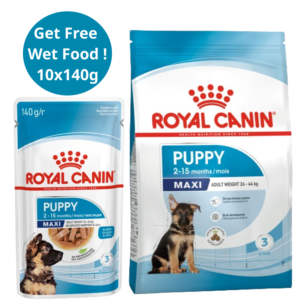 Royal Canin Maxi Puppy Dog Dry Food (Get Free Wet Food)