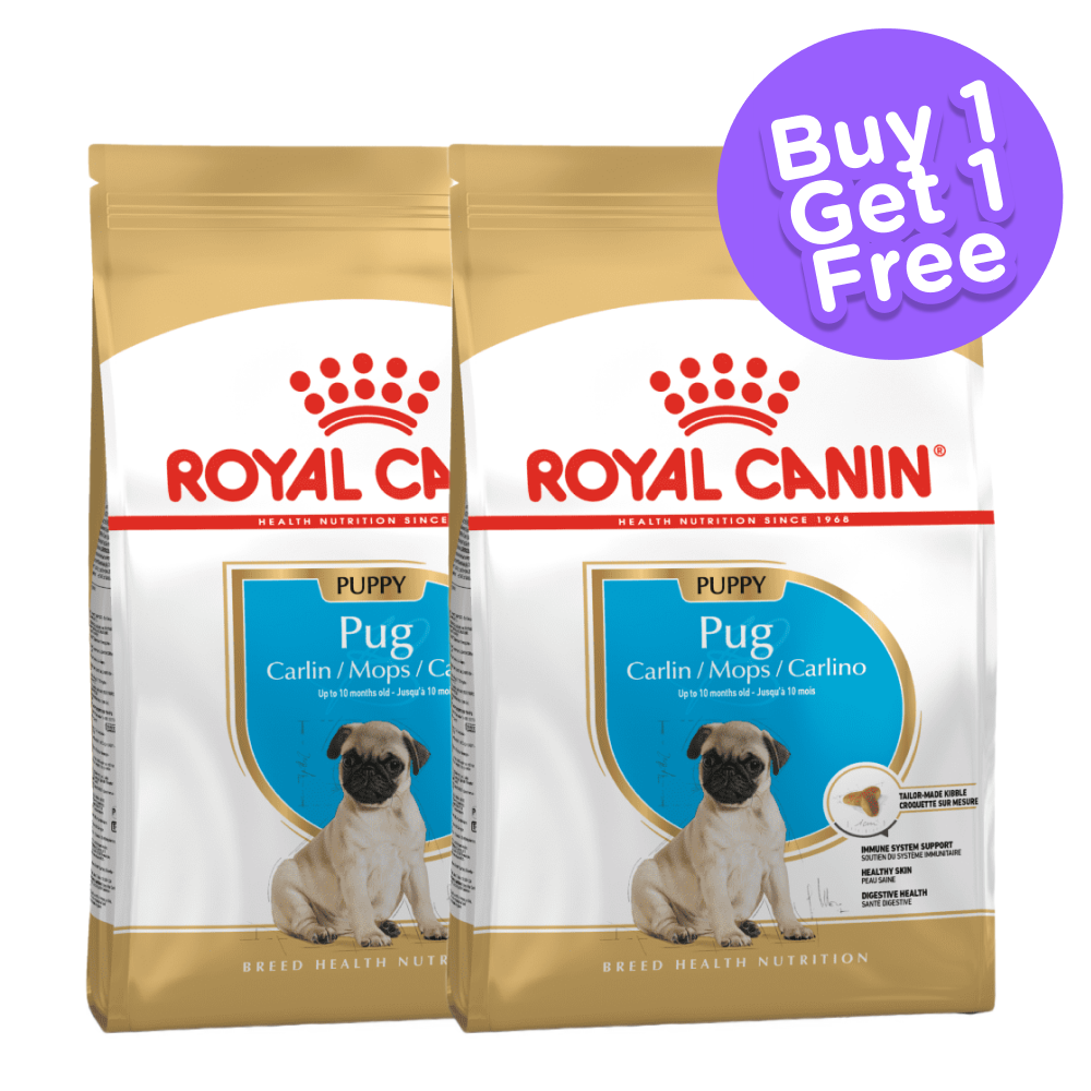 Royal Canin Pug Puppy Dog Dry Food (Limited Shelf Life) (Buy 1 Get 1)