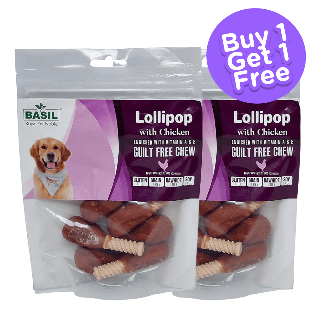 Basil Lollipop with Chicken Dog Chew Treat (Limited Shelf Life) (Buy 1 Get 1)