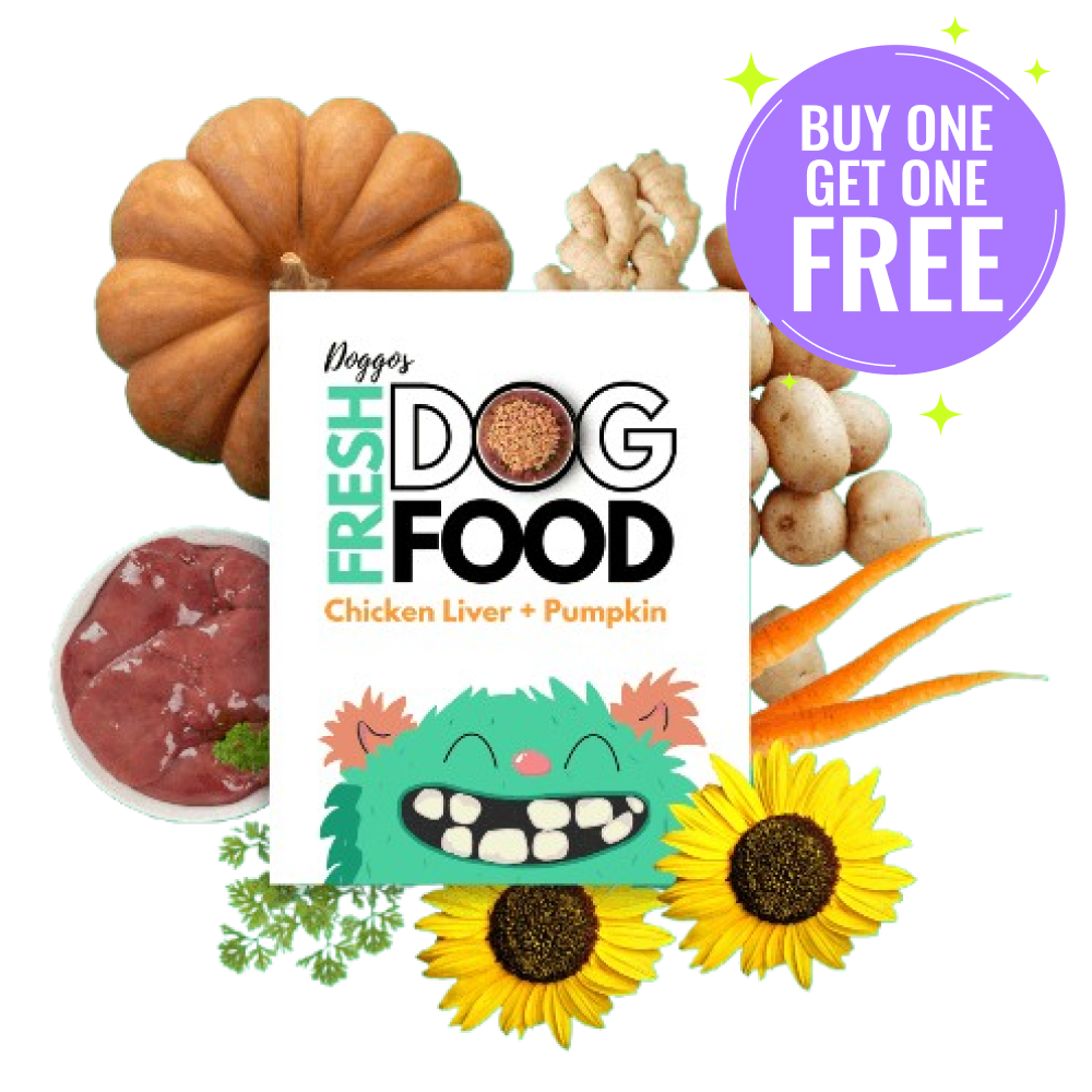 Doggos Baby Monster Chicken and Pumpkin Fresh Dog Wet Food (All Breeds) (Limited Shelf Life) (Buy 1 Get 1)