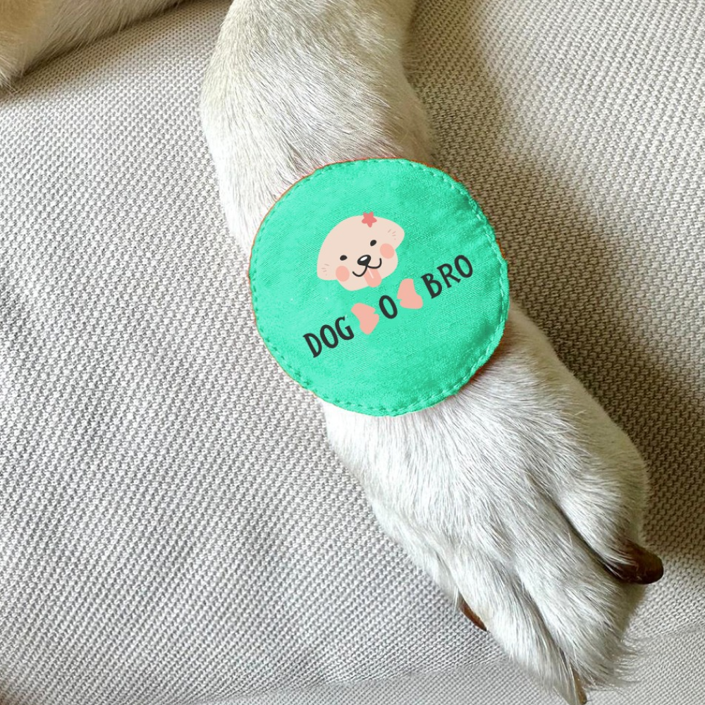 Dogobow Dog O Bro Rakhi for Dogs and Cats