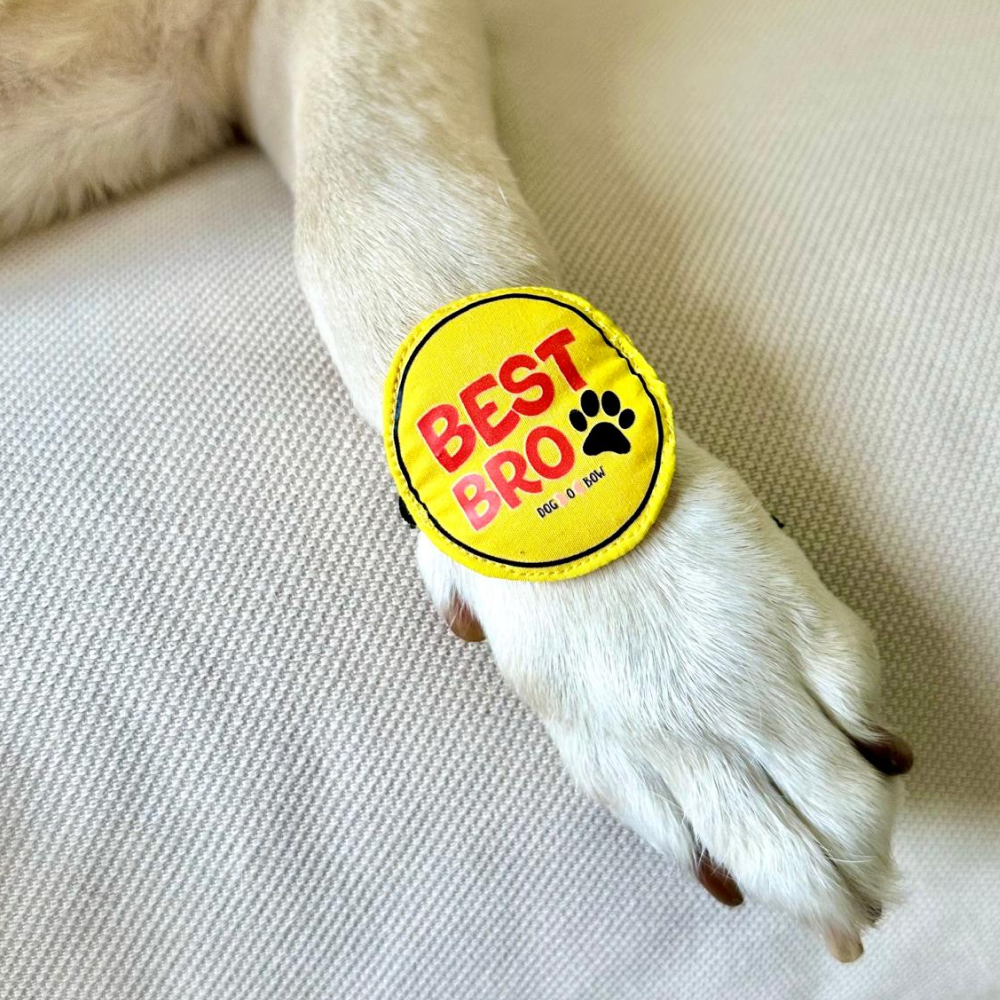 Dogobow Best Bro Rakhi for Dogs and Cats