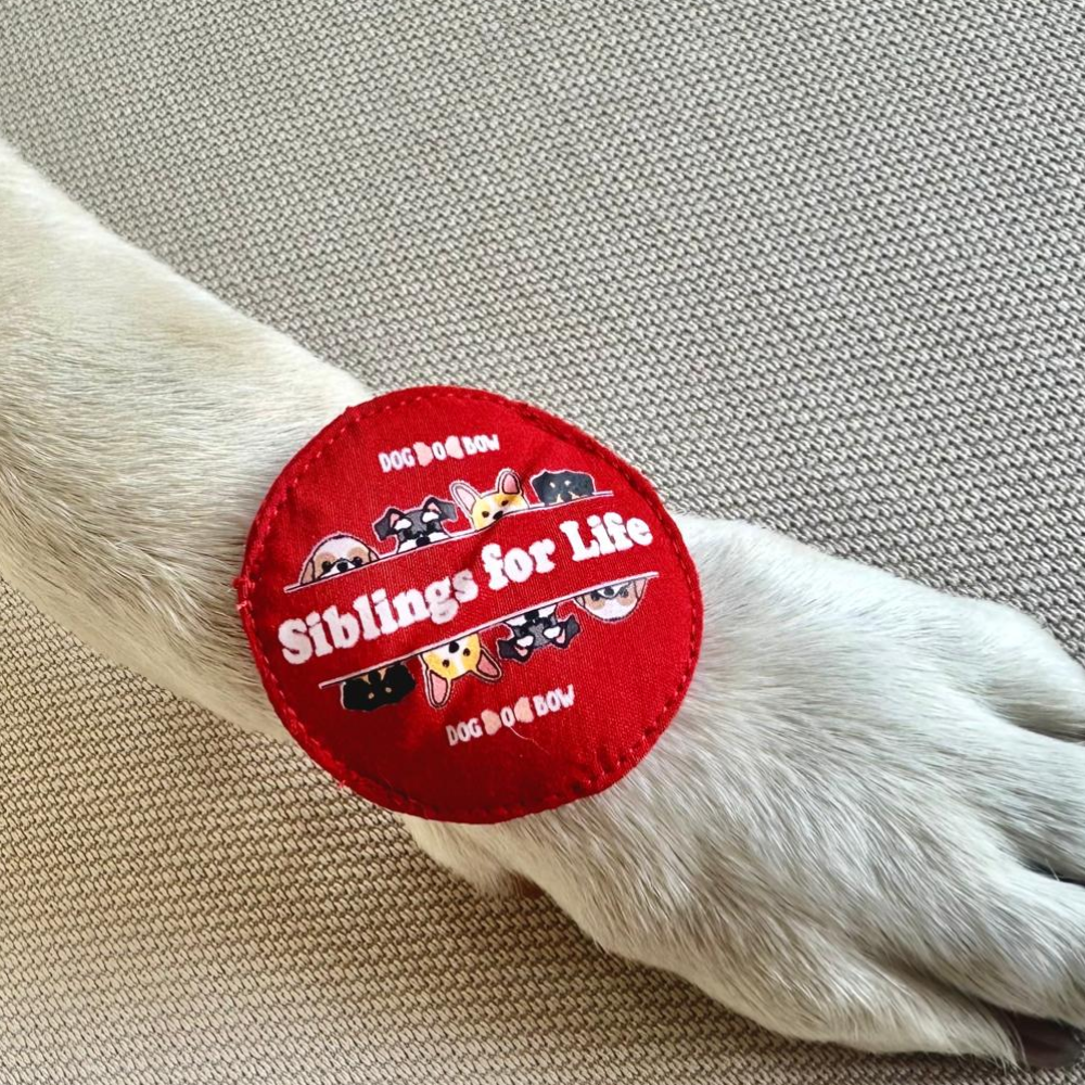 Dogobow Siblings for Life Rakhi for Dogs and Cats